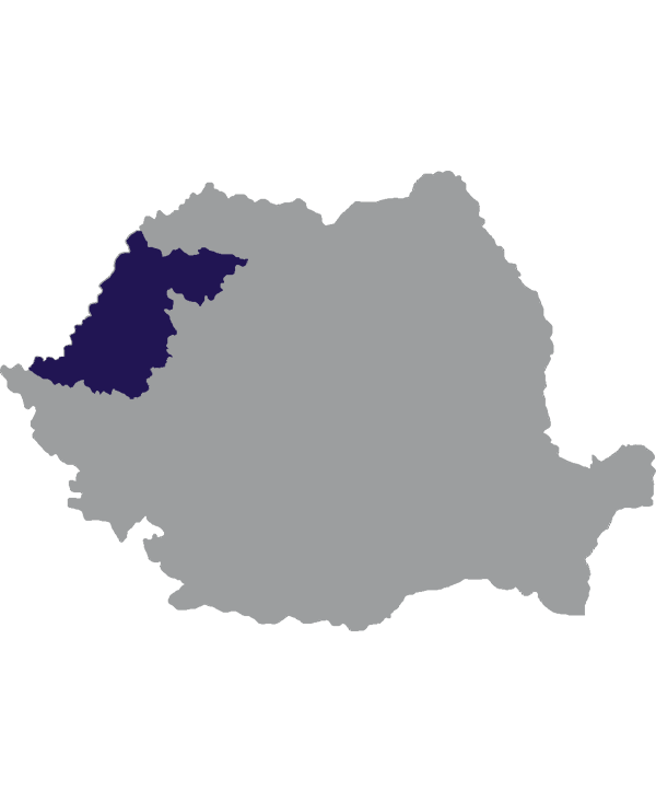 Landkaart Roemenië grijs met regio Crișana donkerblauw op transparante achtergrond - 600 * 733 pixels